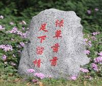 草坪音响ABS-334 20-40W仿石头多款可选